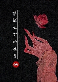温柔禁锢讲的什么