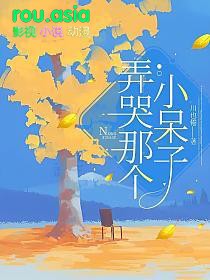 弄哭那个小呆子的小说
